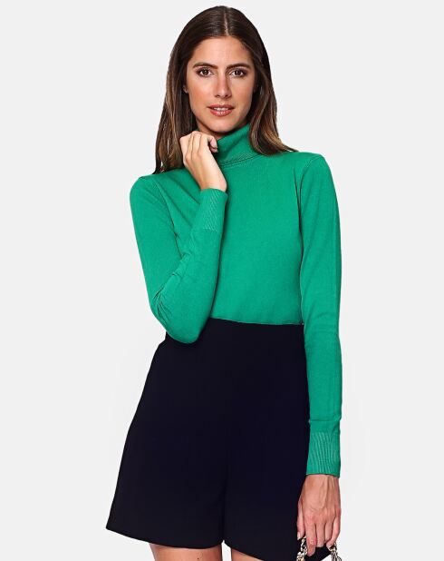 Pull en Cachemire mélangé Lachance vert viride