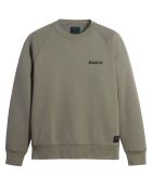 Sweat Icon Crewneck vert clair