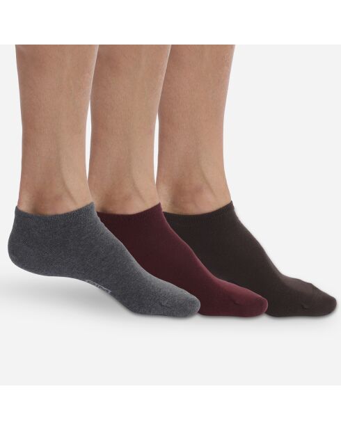 3 Paires de chaussettes Basic Coton  bordeaux/gris moyen chiné/marron