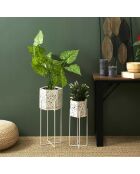 2 macetas de terrazo