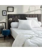 2 Oreillers Polycoton Confort blancs