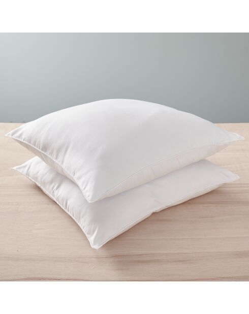 2 Oreillers Microfibre Douceur blancs