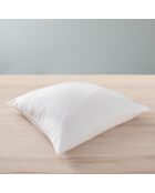 Oreiller Microfibre Douceur traité anti acarien blanc