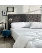 Polochon Polycoton Confort blanc