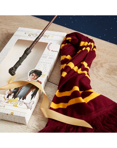 Coffret cadeau Echarpe et Baguette Harry Potter bordeaux/jaune