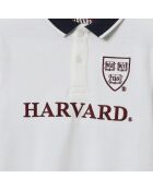 Polo en Coton Collection Exclusive Harvard blanc/noir/bordeaux