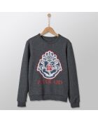 Sweat en Coton mélangé Collection Harry Potter gris anthracite