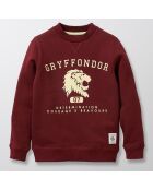 Sweat en Coton mélangé Collection Harry Potter bordeaux