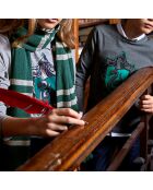 Echarpe en Coton & Cachemire Collection Harry Potter vert foncé/gris