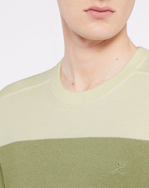 Pull Marinière beige/vert