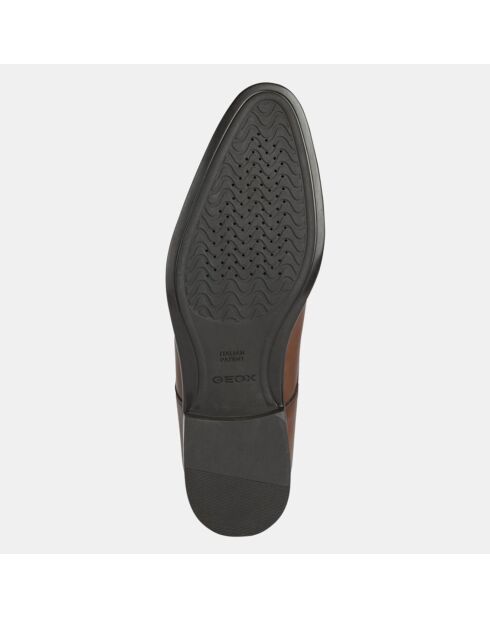 Derbies en Cuir Lacopo marron
