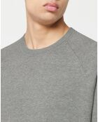 Pull col rond gris