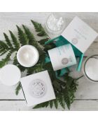 Blanc de Noirs Verschönernde Nachtgesichtscreme, 50 ml