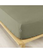 Drap housse Flanelle Candice romarin