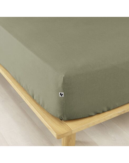 Drap housse Flanelle Candice romarin