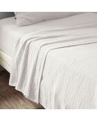 Drap plat Gaïa chantilly