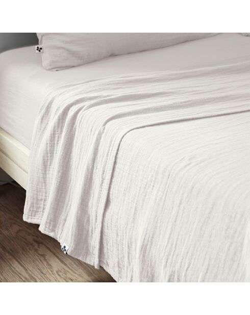 Drap plat Gaïa chantilly
