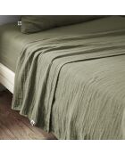 Drap plat Gaïa romarin