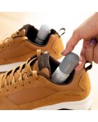 2 Capsules désodorisantes pour chaussures Froes InnovaGoods grises