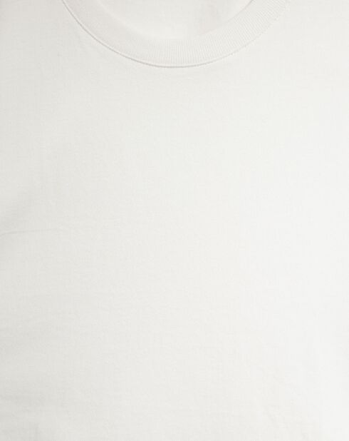T-Shirt crop Lola en Coton dos transparent écru