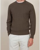 Pull en Coton & Cachemire Rib Crew olive