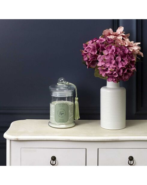 Bougie parfumée bonbonniere Figue verte - 1 mèche 80h