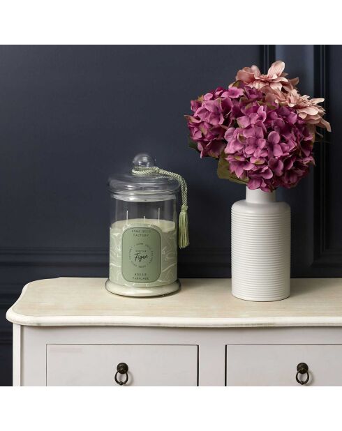 Bougie parfumée bonbonniere Figue verte - 1 mèche 110h