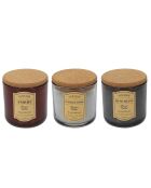 3 Bougies Apothicaires musc blanc, ambre, fleur de coton multicolore - 1 mèche 25h