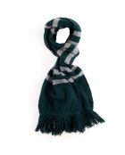 Echarpe en Coton & Cachemire Collection Harry Potter vert foncé/gris