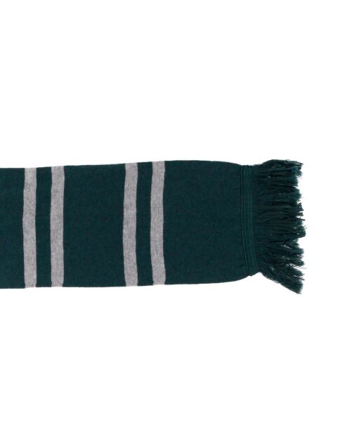 Echarpe en Coton & Cachemire Collection Harry Potter vert foncé/gris
