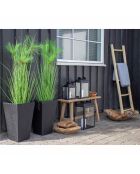 Echelle de décoration en teck naturel - 5x50x150 cm