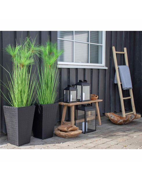 Echelle de décoration en teck naturel - 5x50x150 cm