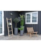 Echelle de décoration en teck naturel - 5x50x150 cm