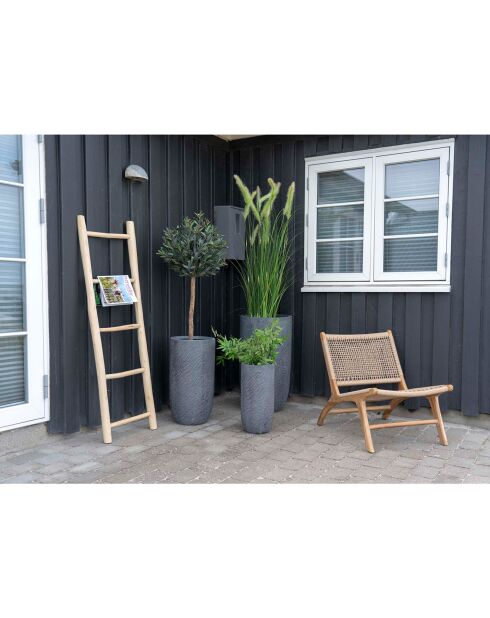 Echelle de décoration en teck naturel - 5x50x150 cm