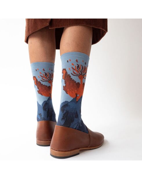 Chaussettes Phoenix Orage multicolores