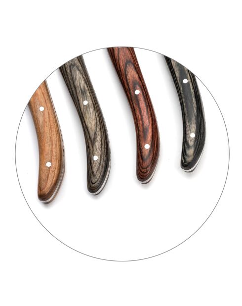 6 Couteaux steak Louis bois pakka mixés multicolores
