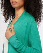 Cardigan  100% Cachemire Cosy vert