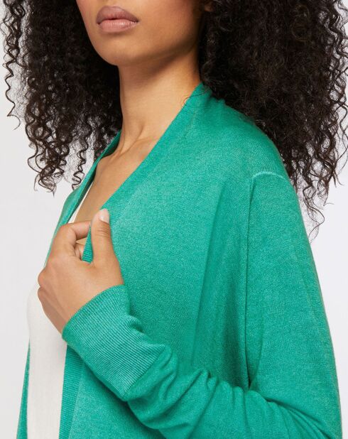 Cardigan  100% Cachemire Cosy vert