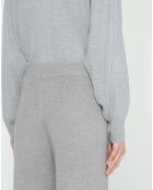 Pantalon Bliss gris