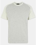 T-Shirt 100% Coton Bio Baglan gris chiné