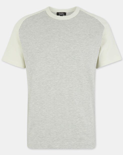 T-Shirt 100% Coton Bio Baglan gris chiné