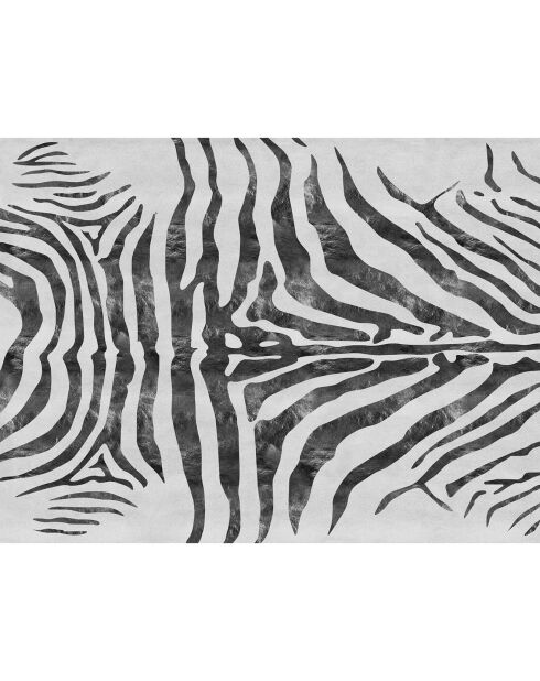 Tapis zebra multicolore - 200x266 cm