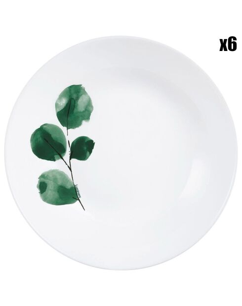 6 Assiettes creuses Eucalyptus blanches - D.20x4.2 cm