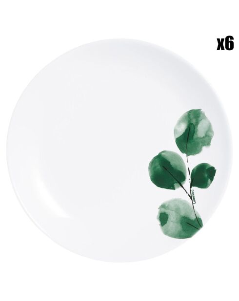 6 Assiettes à dessert Eucalyptus blanches - D.19 cm