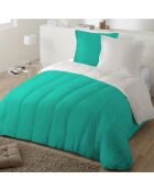 Couette Bicolore vert/gris