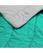 Couette Bicolore vert/gris - 140x200 cm