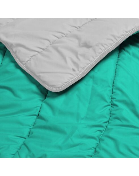 Couette Bicolore vert/gris