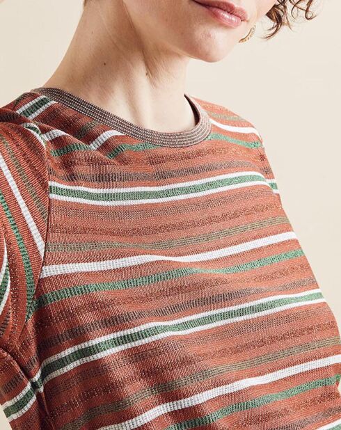 Pull fin Norma rayé brillant terre