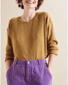 Pull fin Samuel jaune ocre