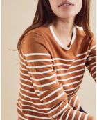 Pull fin Toulouse camel